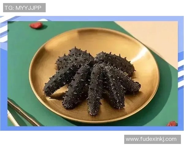 从零起步掌握足球战术精髓全面指南助你成为战术大师